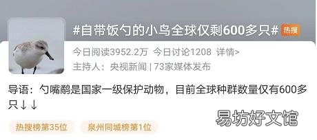 自带饭勺的小鸟全球仅剩600多只