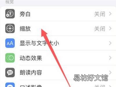 苹果13缩放功能怎么关闭