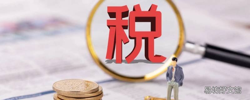 缴税上是税务局还是税务分局