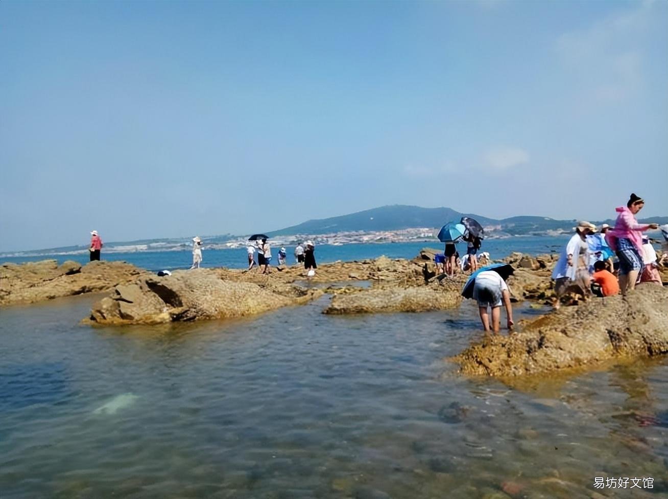 每一道都是青岛人的心头爱 青岛的特色美食推荐