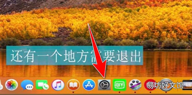 如何在苹果电脑上退出apple id