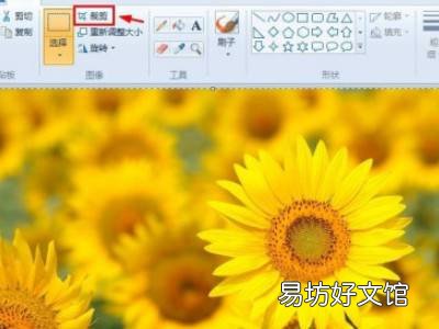 电脑怎么裁剪图片大小