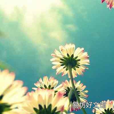 春季做这些事定让你走鸿运