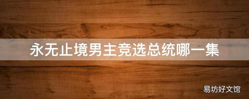 永无止境男主竞选总统哪一集
