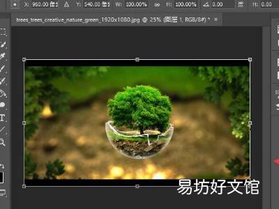 ps如何调整图片倾斜度