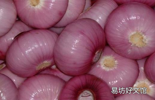 洋葱有什么营养价值 醋泡洋葱怎么做