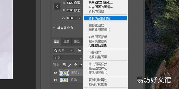 ps图片不能栅格化怎么解决