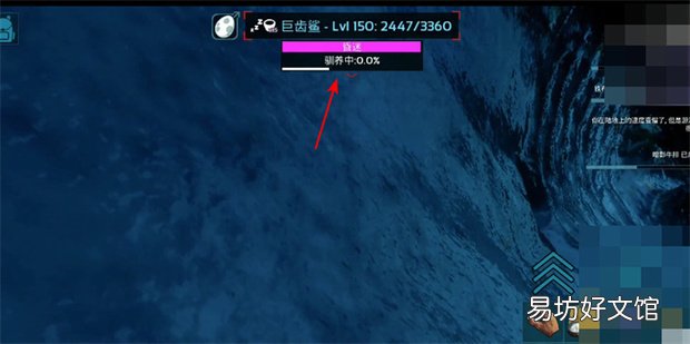 方舟生存进化巨齿鲨怎么驯服