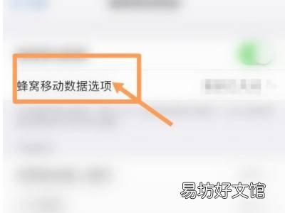 iphone13怎么显示实时网速