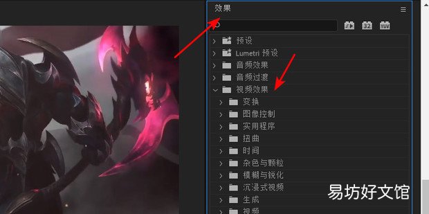 PR中如何设置镜像效果