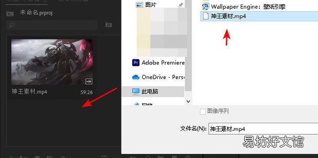 PR中如何设置镜像效果