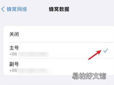 苹果13蜂窝数据怎么设置