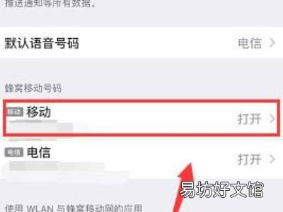 苹果手机两个号码怎么设置主号