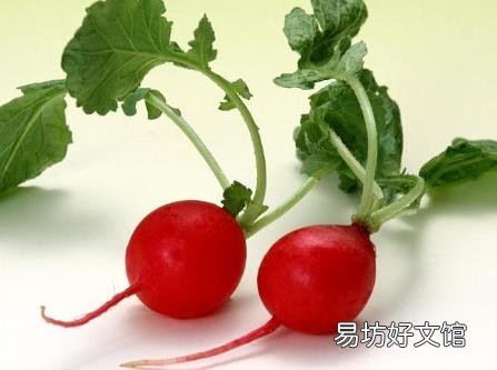 红萝卜的营养价值-红萝卜的功效与作用