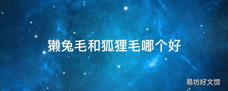 獭兔毛和狐狸毛哪个好