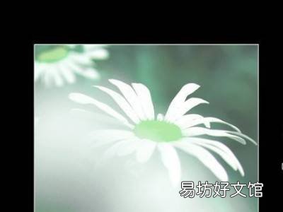 cad导入图片为什么不显示