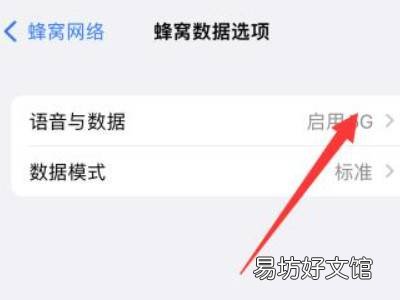 iphone13独立5g要不要开