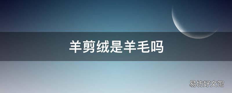 羊剪绒是羊毛吗