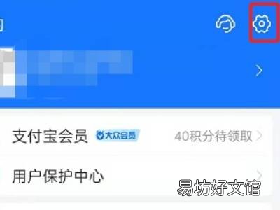 支付宝皮肤设置在哪里