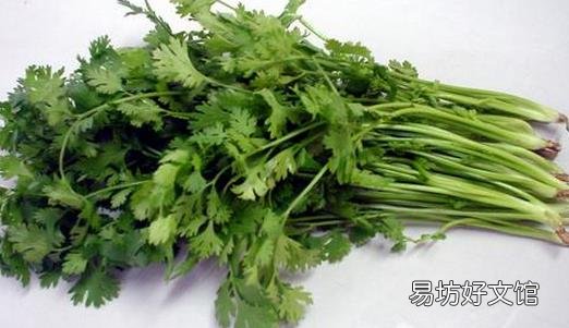 香菜有什么功效?香菜怎么保存?