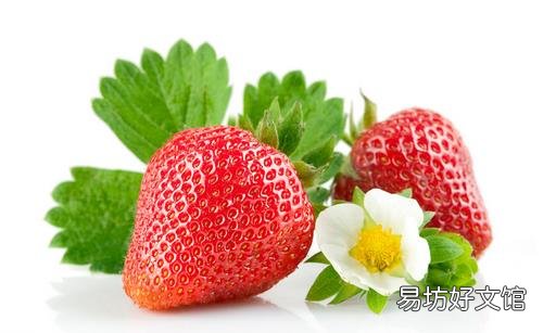 盘点草莓的8大养生作用