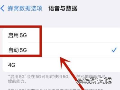 苹果5g设置在哪里