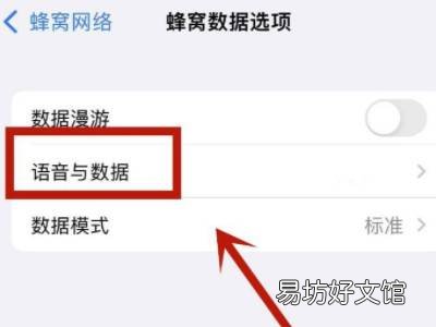 苹果5g设置在哪里