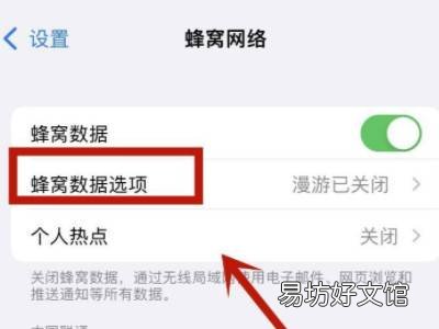 苹果5g设置在哪里