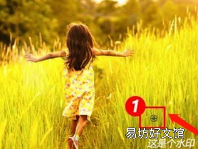 怎么去照片上的水印文字