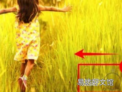 怎么去照片上的水印文字