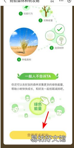 支付宝蚂蚁森林能量对照表