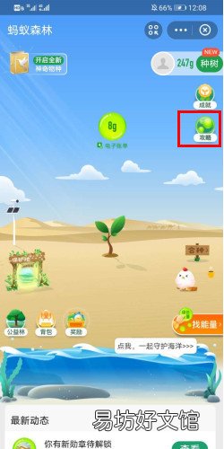 支付宝蚂蚁森林能量对照表