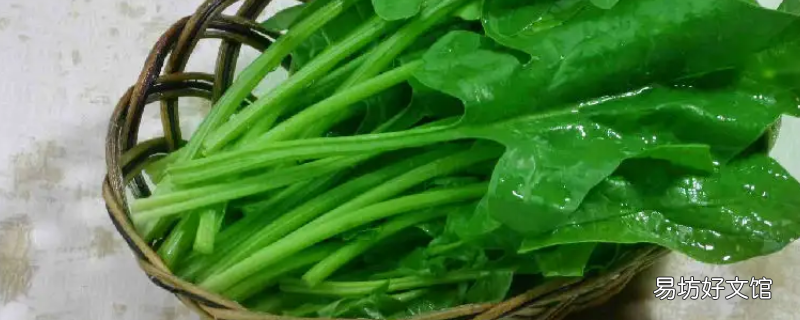 菠菜什么时候会有菜心