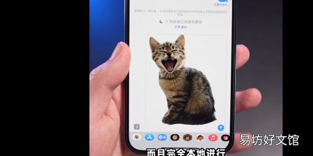 iPhone11怎么对照片进行抠图