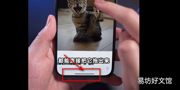 iPhone11怎么对照片进行抠图