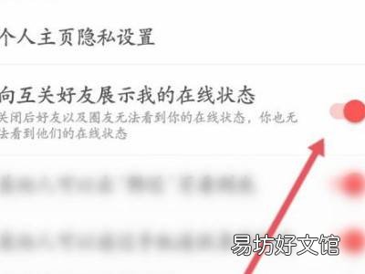 网易云可以隐身在线吗