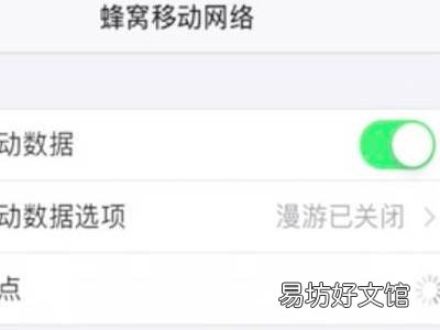 苹果13怎么显示运营商