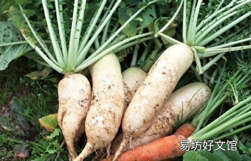原来白萝卜还可以这么用!