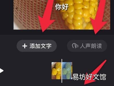 拍快手视频怎么加字幕和声音