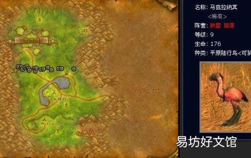 魔兽世界怀旧服罕见宠物捕捉方式地点 智者奥尔姆