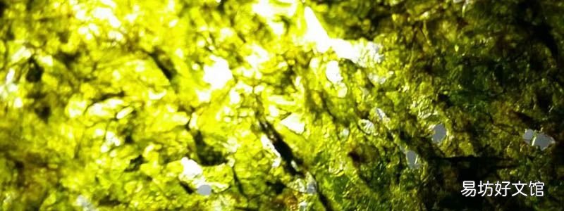 海苔和桃子同时吃会中毒吗