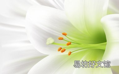 百合宁心安神 夏季吃百合的好处