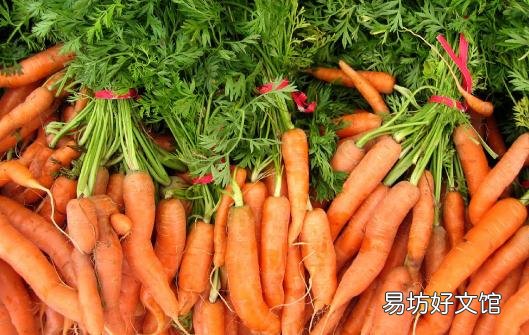 吃胡萝卜有什么好处?有利健康长寿