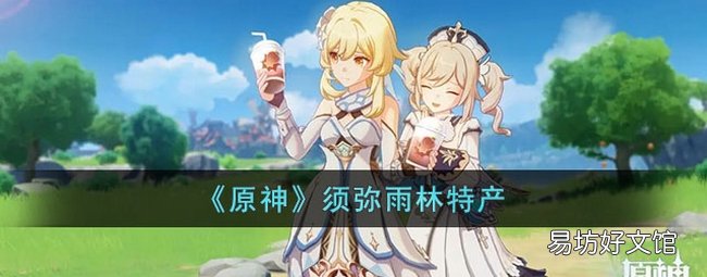 原神须弥雨林特产有哪些 须弥雨林特产大全