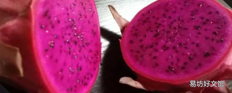 火龙果是仙人掌的果实吗 这种食物如何存放