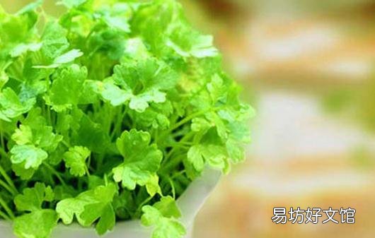 为啥不爱吃香菜?香菜的功效