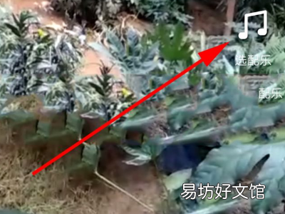 抖音视频怎么关闭原声音