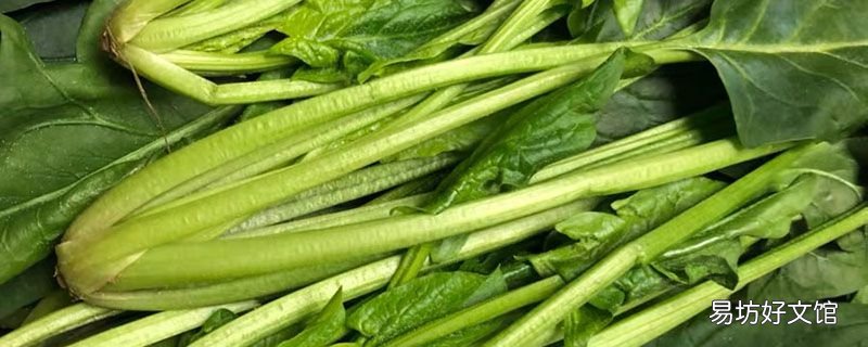 波菜汤里能放西红柿吗