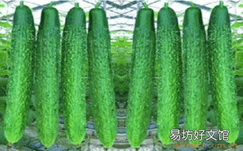 黄瓜的功效