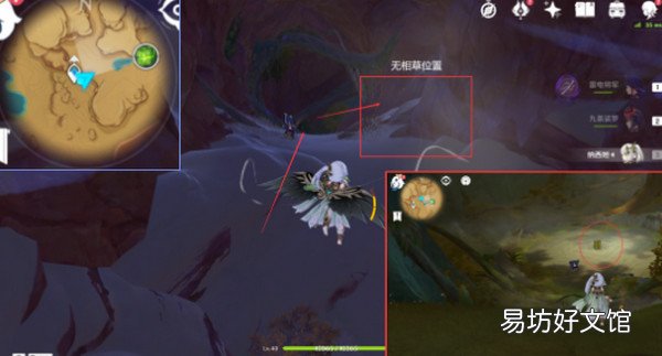 原神无相之草位置在哪里 原神无相之草位置攻略
